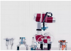 顯揚科技亮相央視直播間