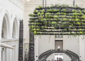 顯揚科技亮相央視直播間