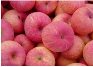 顯揚(yáng)科技亮相央視直播間