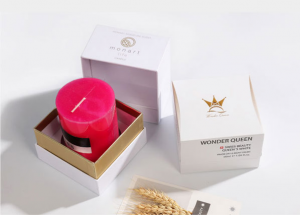 顯揚科技亮相央視直播間