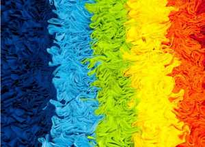 顯揚科技亮相央視直播間