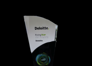 顯揚科技亮相央視直播間