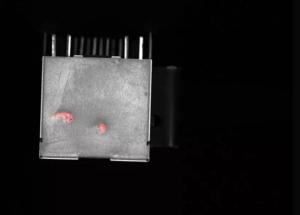 顯揚(yáng)科技亮相央視直播間